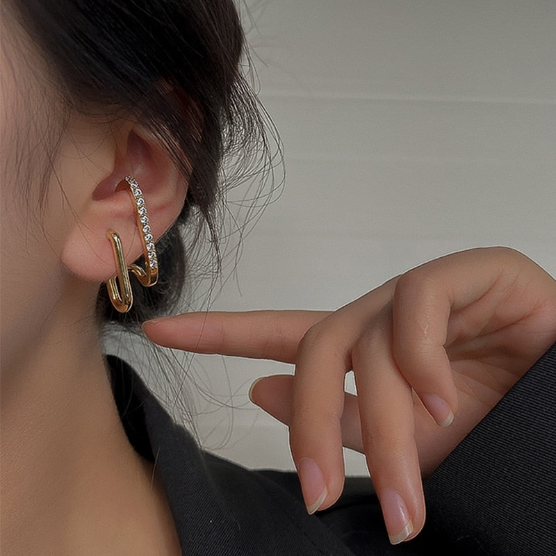 Brilliant Earring