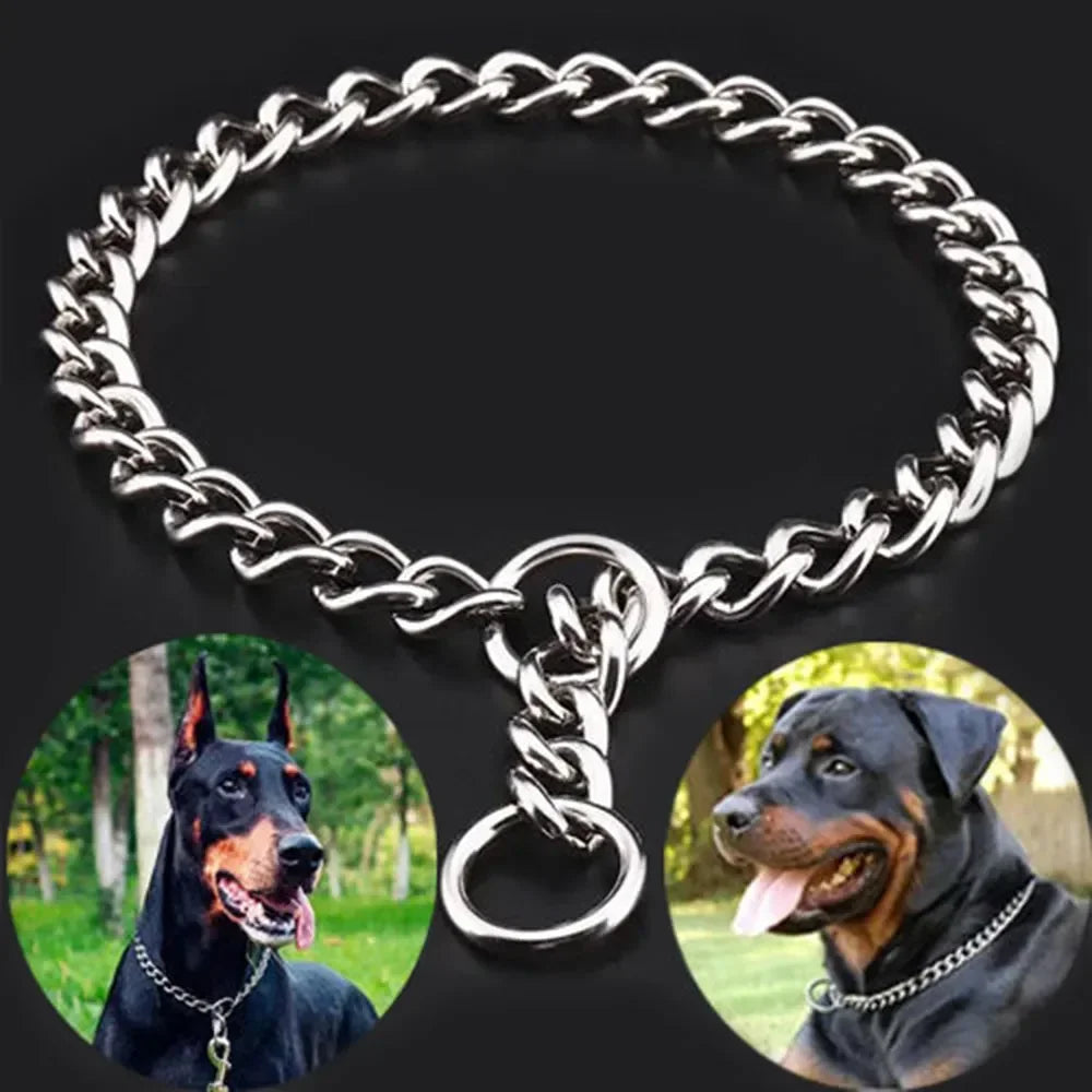 Snake Chain Collar